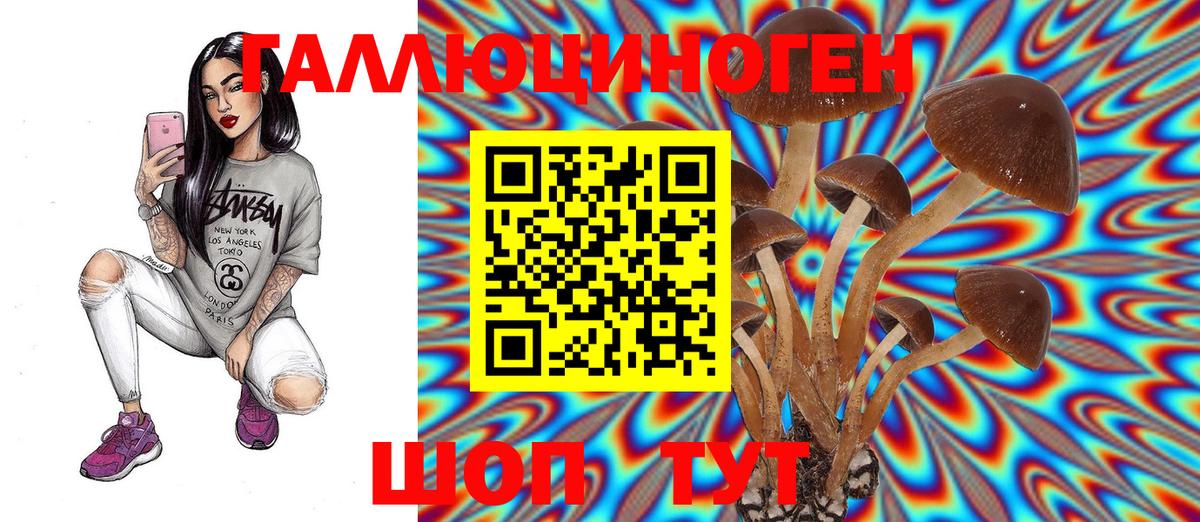 Псилоцибиновые грибы мицелий  Вход с VPN  Ковров 