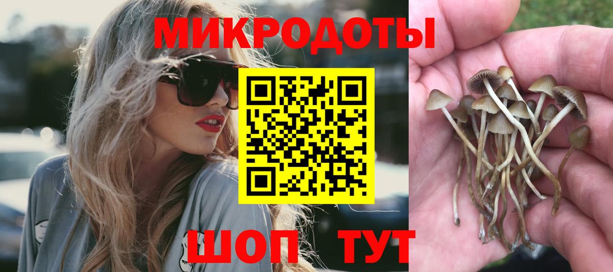 Псилоцибиновые грибы прущие грибы Ковров